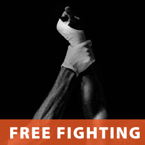 freeFighting